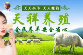 为什么互联网养殖、互联网养殖场值得投资?