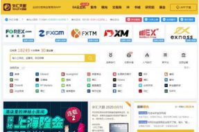 正规的外汇平台有哪些？外汇天眼告诉你答案！
