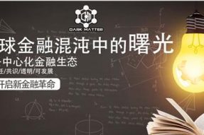 Dark Matter (DM)全球金融混沌中的曙光