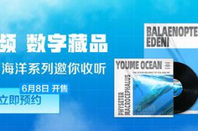 迅雷数字藏品平台非同数艺首次推出黑胶唱片的音频数字藏品 邀你收听海洋的声音