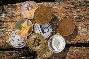 牛市前瞻，BTCBot 推出的NFT Bid，抄底好标的不求人
